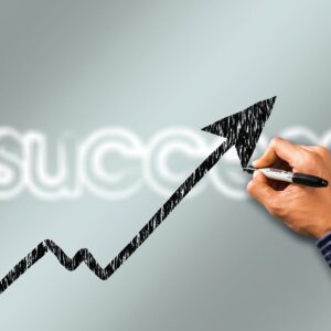 business success curve