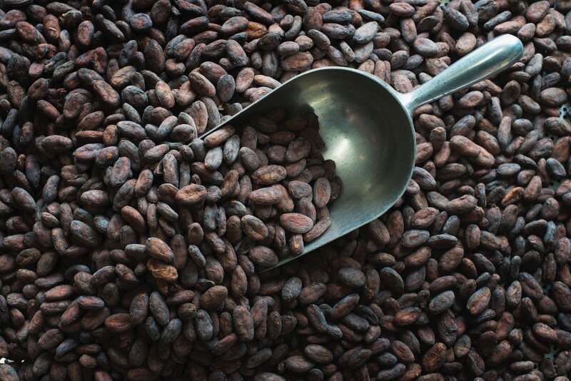 How does cocoa processing work