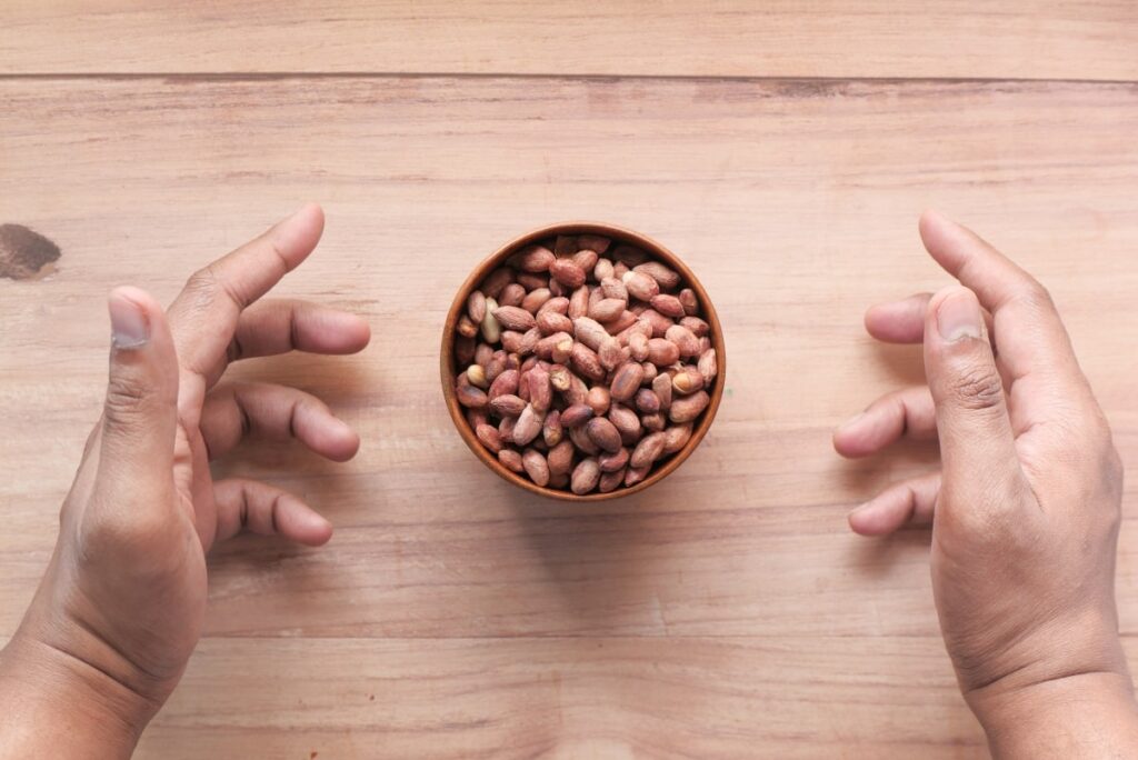 Nuts processing | Duyvis Wiener